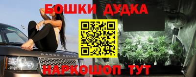 индика Кунгур