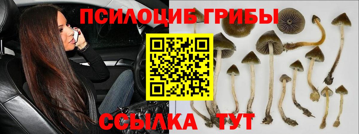 Галлюциногенные грибы ЛСД Южноуральск