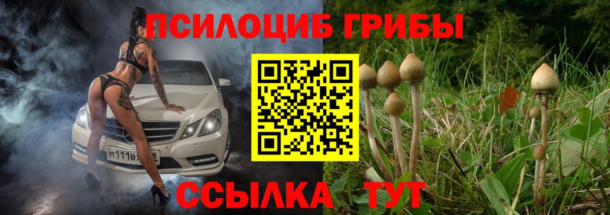 Галлюциногенные грибы Cubensis  Вход с VPN  Южноуральск  Псилоцибиновые грибы мухоморы 